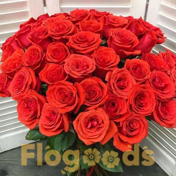 51 красная роза за 19 525 руб.
